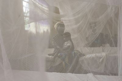 Niger distributing more than 4 mn mosquito nets to fight malaria