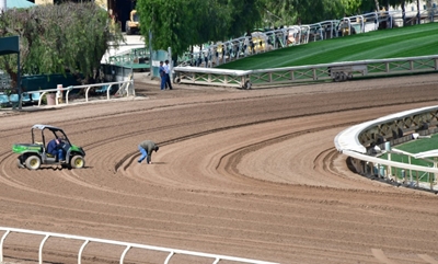 23rd horse death rocks Santa Anita