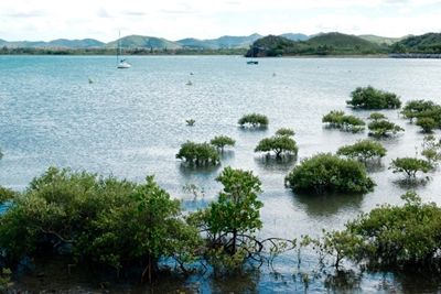 Virus reaches previously Covid-free New Caledonia