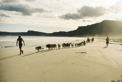 Santa Paws: South African canines sled on sandy beaches