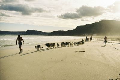 Santa Paws: South African canines sled on sandy beaches