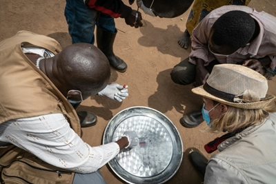 Tracking the plague in DR Congo
