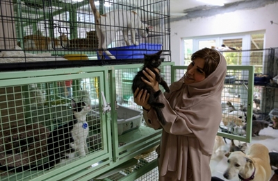 Mus-cats: Omani woman juggles 500 felines