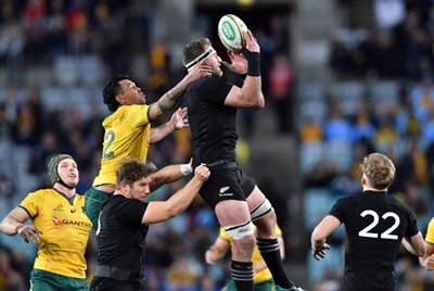Wallabies coach Cheika's job safe: Rugby Australia chief