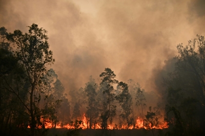 Rally Australia cancelled because of raging bushfires