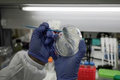 China approves trials for two more coronavirus vaccines
