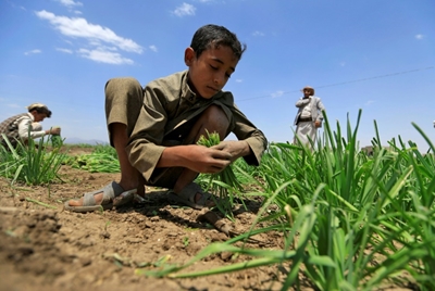 More than 113 million people suffer 'acute hunger': UN