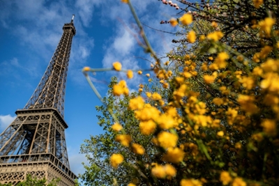 American picked to design vast car-free garden at Eiffel Tower