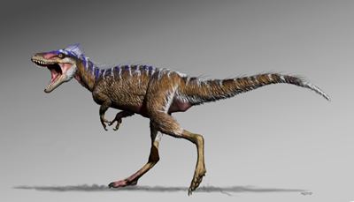 Tiny T-rex sheds light on prime dino predators