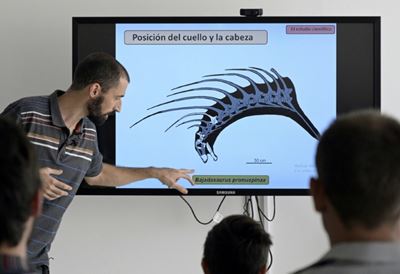 Dinosaur that defended itself with spiny backbone found in Patagonia