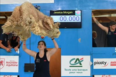 Sheep shearers flock to world championship in France