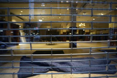 US could see employment recovery in January