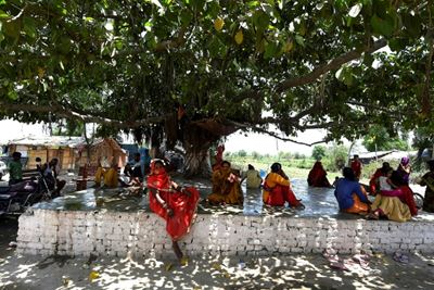 India wilts as temperature hits 50 degrees Celsius