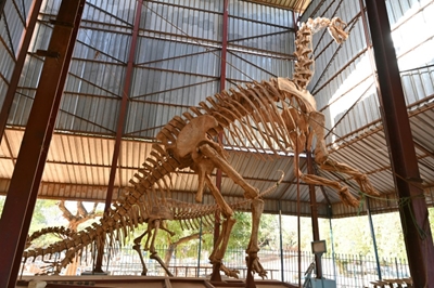 Niger museum is eclectic national 'mirror'
