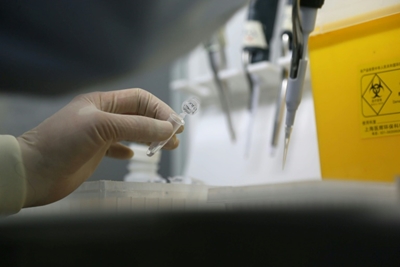 China believes new virus behind mystery pneumonia outbreak