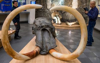 Russian scientists probe prehistoric viruses dug from permafrost