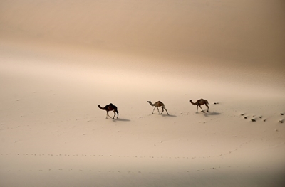 Saudi Arabia unveils campaign to tackle climate change