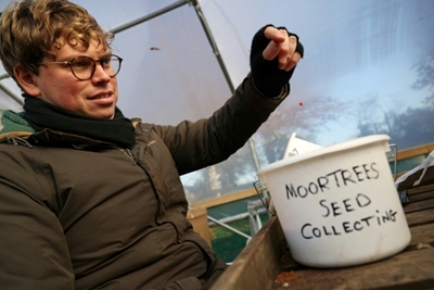 England tree scheme takes root amid climate emergency