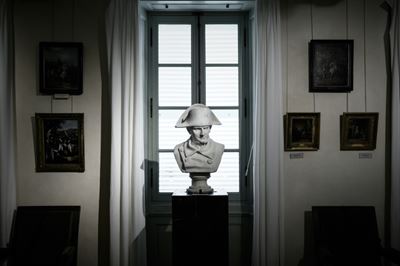 Napoleon's bicentennial under shadow of Covid and controversy