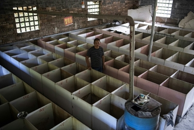 China's rat, cobra farmers feel coronavirus pain