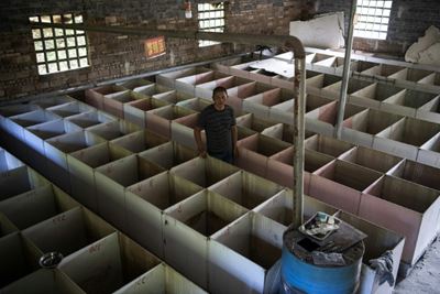 China's rat, cobra farmers feel coronavirus pain