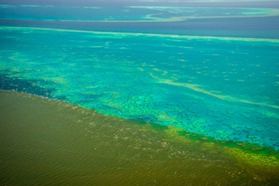 Fears flood water runoff could 'smother' Barrier Reef