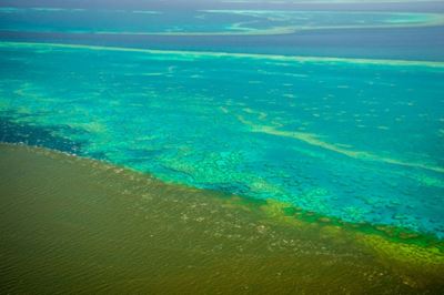 Fears flood water runoff could 'smother' Barrier Reef