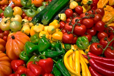 'Radical rethink' needed to tackle obesity, hunger, climate