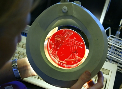 Superbugs to 'kill millions' by 2050 unless countries act