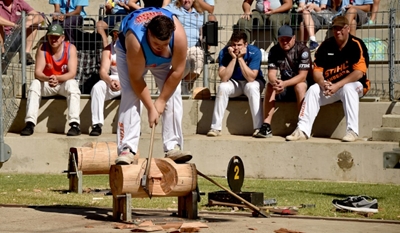 Axe marks the sport as wood-chopping booms in Australia