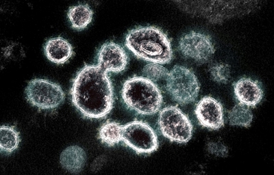 WHO switches to Greek alphabet for virus variant names