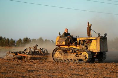 Dry year leaves Syria wheat farmers facing crop failure 