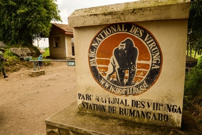 Kidnapped UK tourists in DR Congo released