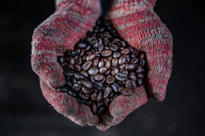 Daily grind: Malaysian mill makes coffee the old-fashioned way