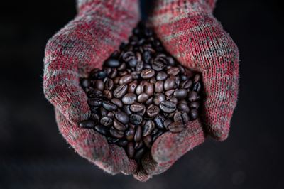 Daily grind: Malaysian mill makes coffee the old-fashioned way