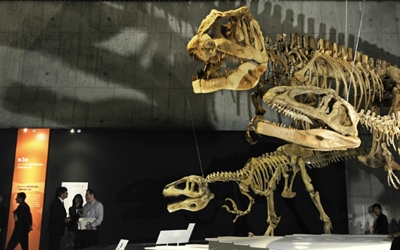 Were dinosaurs killed off by asteroid or volcanoes? It's complicated 
