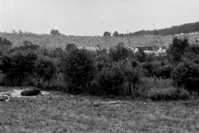 In today's America plagued by shootings, Woodstock 2.0 unlikely