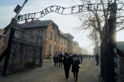Auschwitz online: raising Holocaust awareness in the digital age