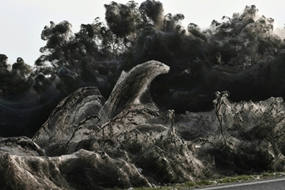 Spider swarm cloaks Greek lake in 1,000-metre web