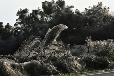 Spider swarm cloaks Greek lake in 1,000-metre web
