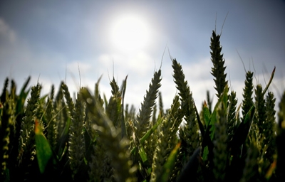 20th-century warming 'unmatched' in 2,000 years