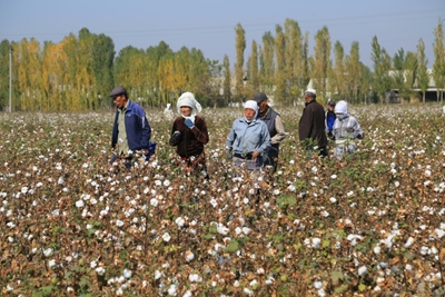 Uzbekistan looks to soften image of notorious cotton sector