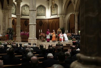 US bishops face pressure amid new sex assault revelations