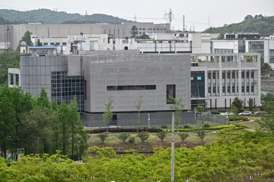 Director of Wuhan lab denies virus link