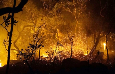 A million species risk extinction, are we one of them?