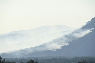 'Fierce' wildfire near Saint-Tropez forces evacuations in France