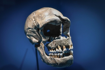 DNA from Neanderthals can make Covid more severe