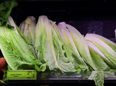 E. coli lettuce outbreak traced to California