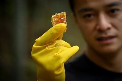China's farmers reap rich harvest through video-sharing apps