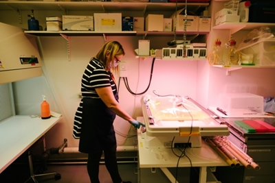 Finnish scientists create 'sustainable' lab-grown coffee